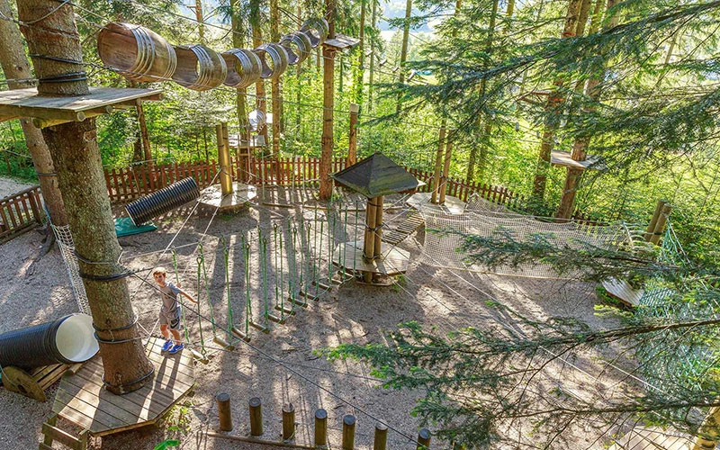 Indian Forest Chartreuse