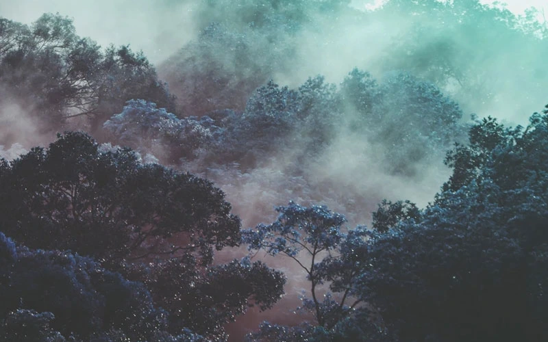 Transfert des données SalesForce vers Sarbacane